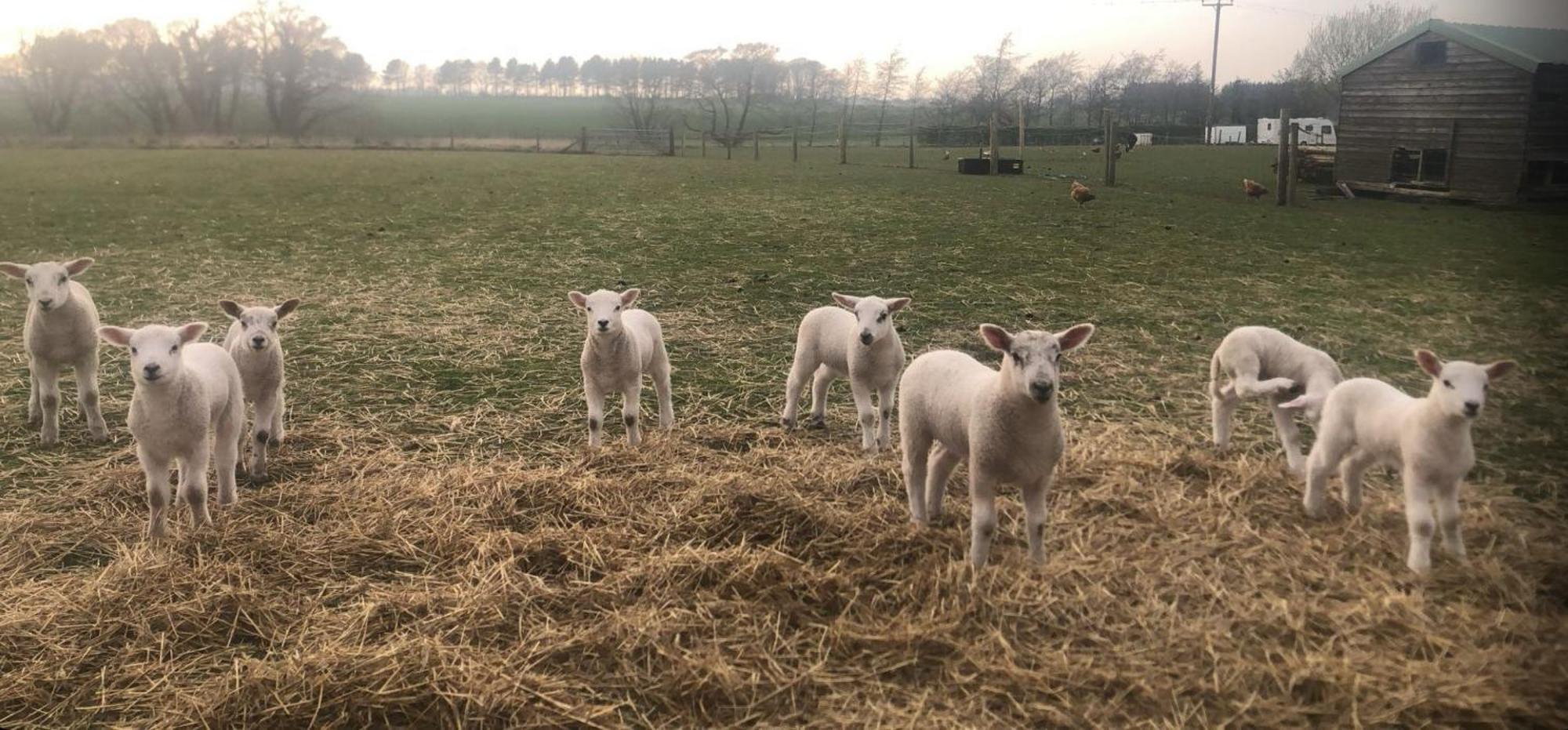 The Farm Burscoughヴィラ エクステリア 写真